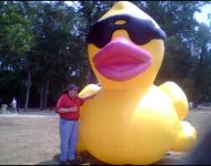 Joey with Giant Duck