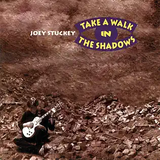Joey Stuckey - Take A Walk In The Shadows